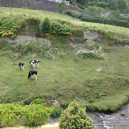 Vakantiehuis Lav'alma *